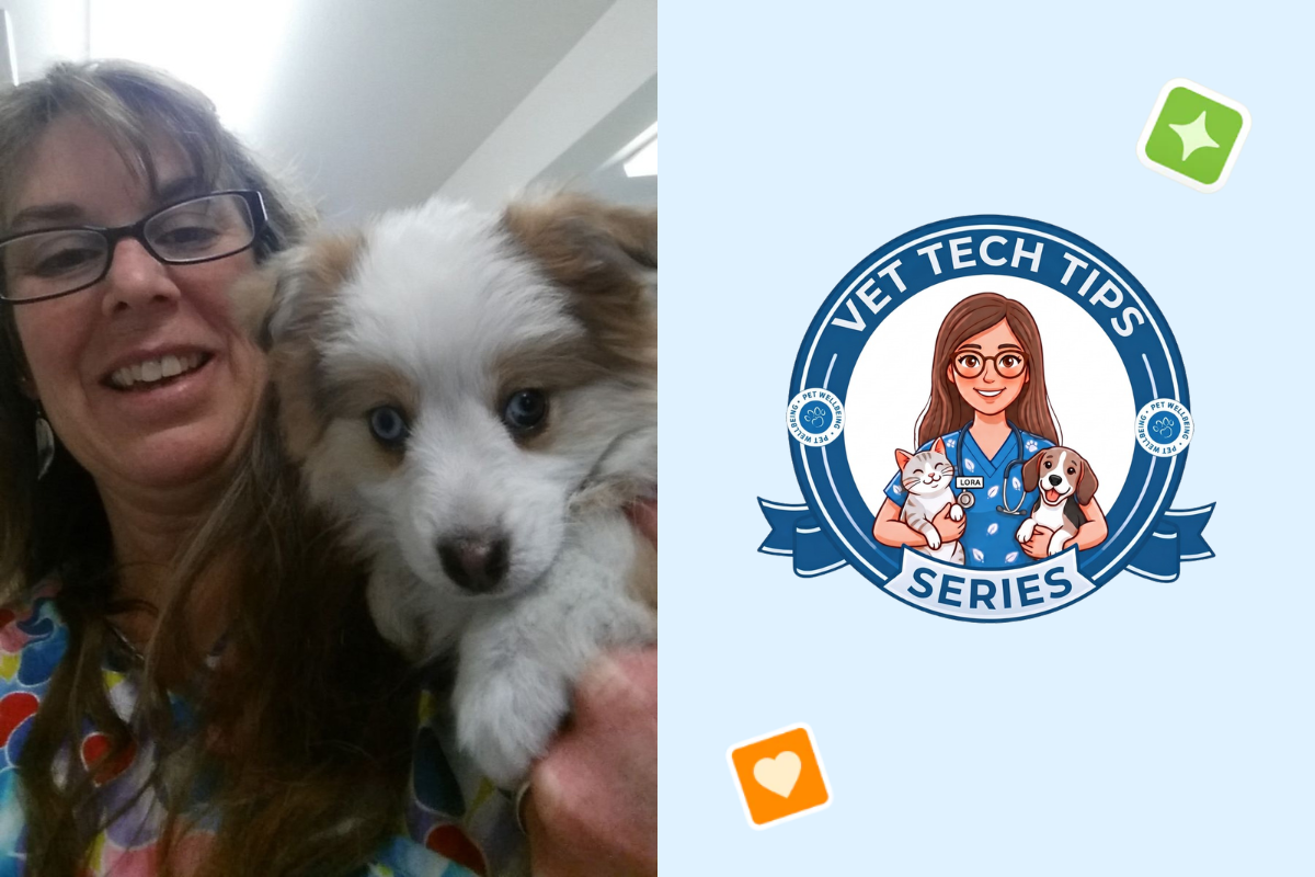 Confessions of a Vet Tech: The "Medical Mystery" That's Usually Just a Case of the Sunday Scaries