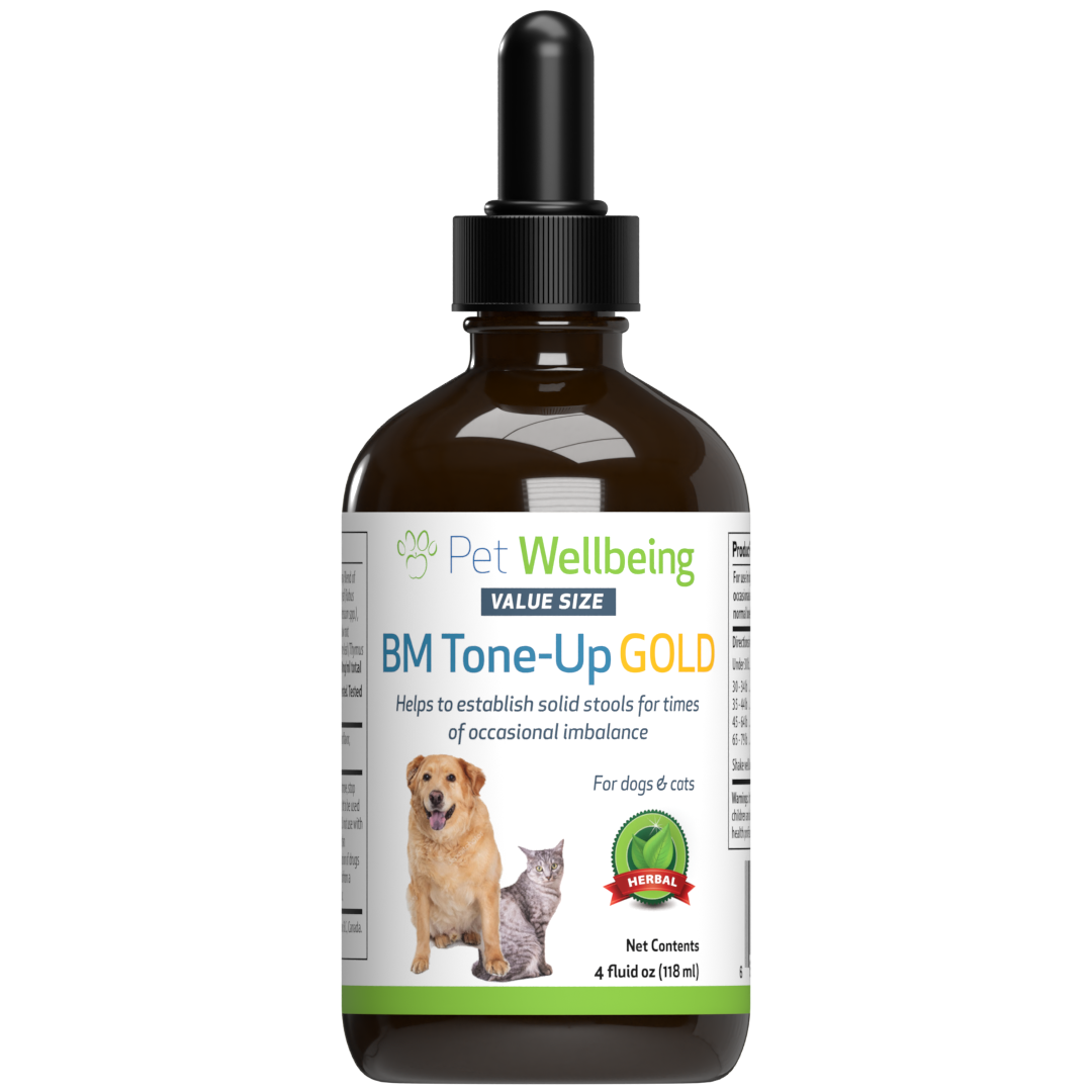 BM Tone Up Gold for Loose Stools in Dogs Pet Wellbeing