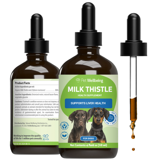 Milk Thistle - for Healthy Liver Function in Dogs