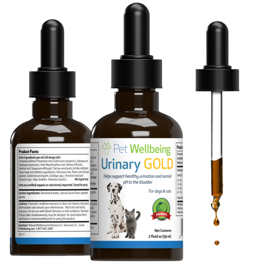 Urinary Gold - Supports Urinary Health for Cats