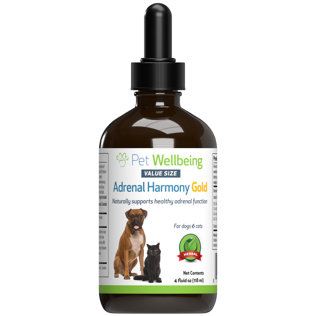 Cushing's disease dog natural treatment hot sale