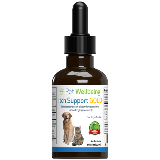 Itch Support Gold - for Allergy-Related Itch in Cats