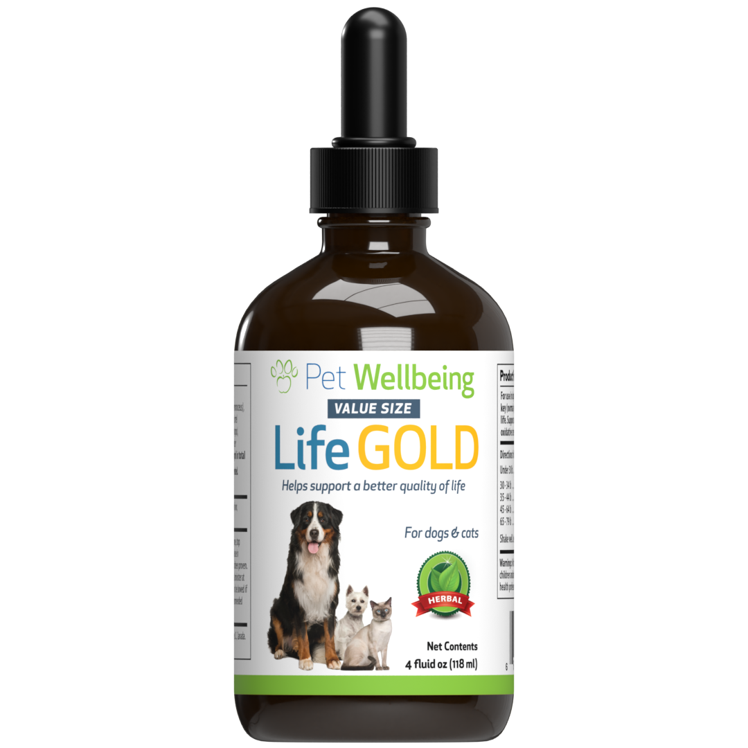 Wellbeing clearance dog food