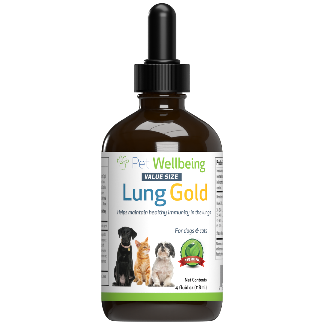 Dog top cancer supplements