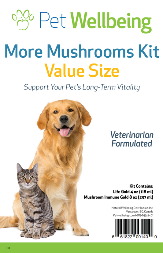 More Mushrooms Kit for Dogs - Complementary and Alternative Care Immune and Antioxidant Support- Value Size