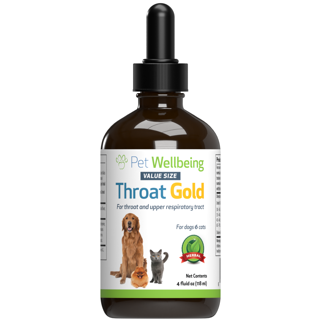 Dog sore sales throat home remedy