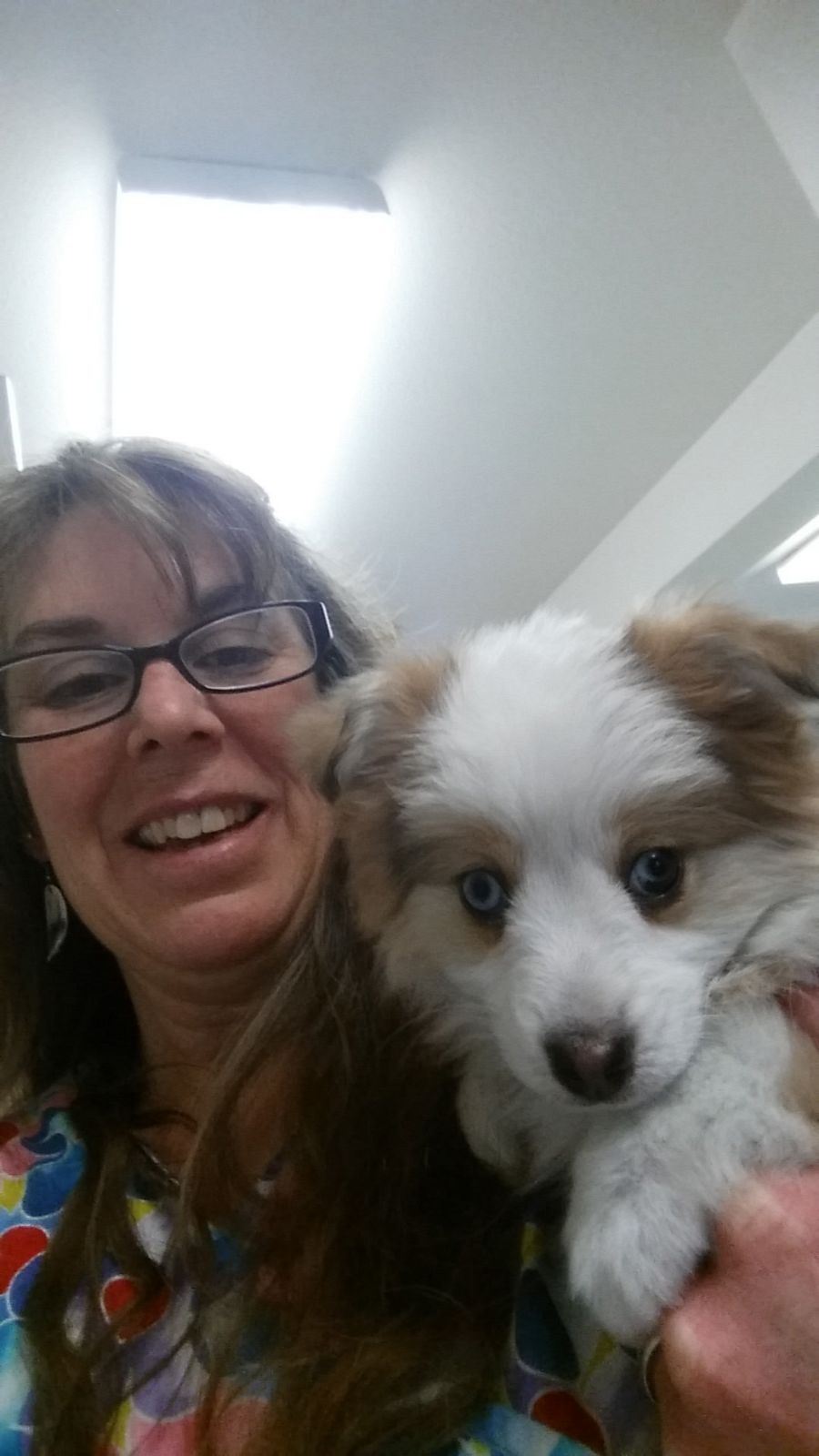 Why Did My Vet Say My Dog's Liver Values Are High?