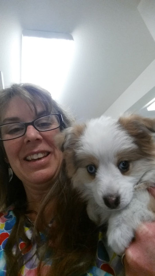 Why Did My Vet Say My Dog's Liver Values Are High?