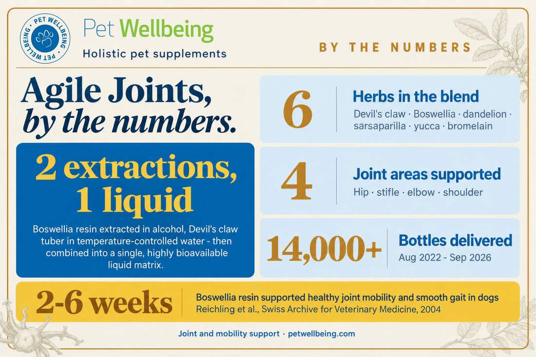 Agile Joints, By the Numbers: The Formula Behind the Boswellia & Devil's Claw Blend