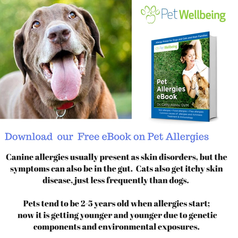 Itchy Pets? Skin allergy, itch and inflammation relief
