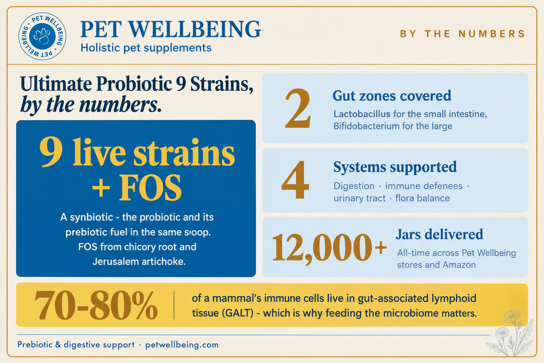 Ultimate Probiotic, by the Numbers: What's Really Supporting Your Dog's (or Cat's) Gut