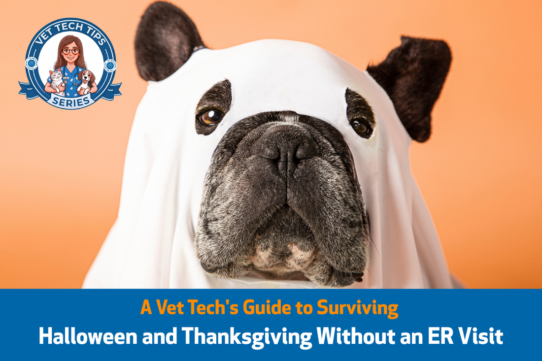A Vet Tech's Guide to Surviving Halloween and Thanksgiving Without an ER Visit