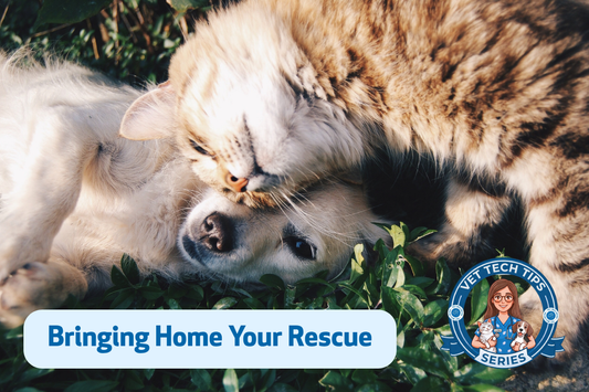 Congratulations on saving a life by adopting a sweet rescue!