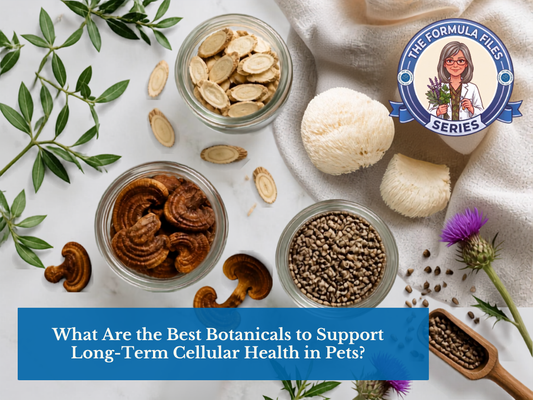 What Are the Best Botanicals to Support Long-Term Cellular Health in Pets?