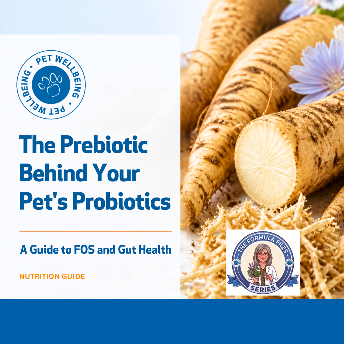 Why Are FOS Prebiotics So Important for a Pet’s Digestive Health?