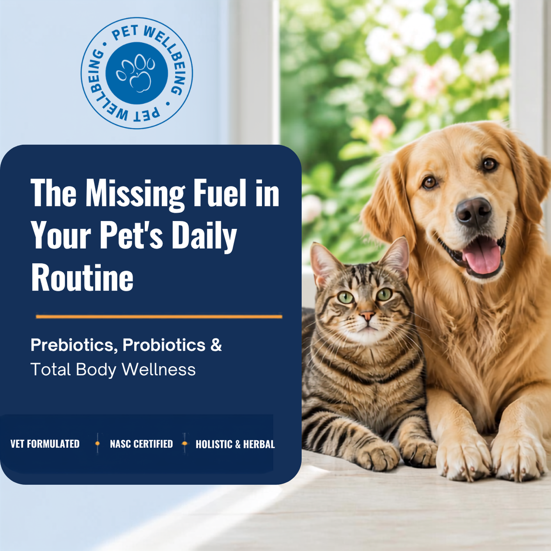 The Missing Fuel in Your Pet’s Daily Routine: How Prebiotics and Probiotics Transform Total Body Wellness