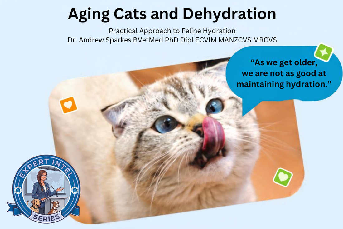 Is Your Cat Drinking Enough? What Veterinary Research Really Says About Feline Hydration