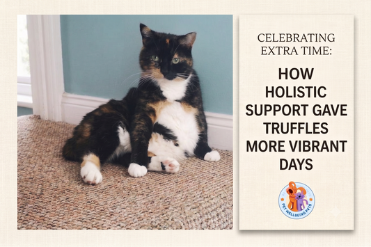 Celebrating Extra Time: How Holistic Support Gave Truffles More Vibrant Days