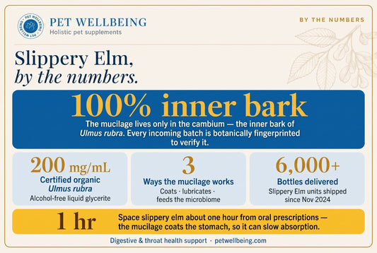 Slippery Elm, By the Numbers: What’s Actually in the Bottle