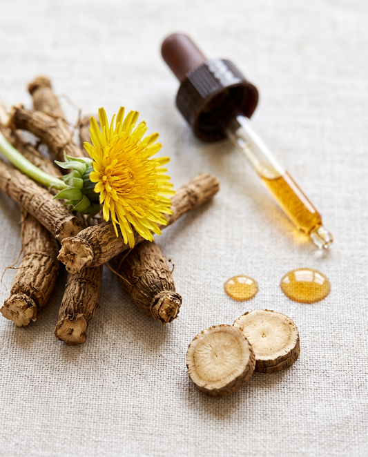 How Dandelion Root Liquid Extract Shapes the Microbiome (Without the Fiber)