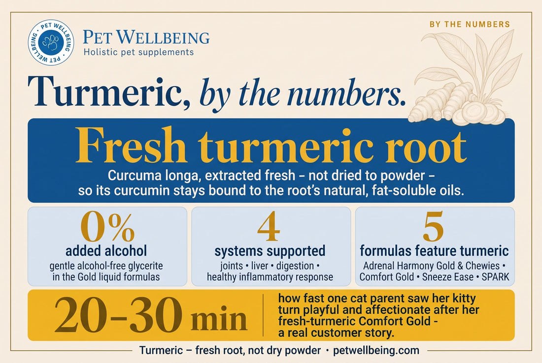 Fresh Turmeric, By the Numbers: What's Actually in Your Cat's Supplement