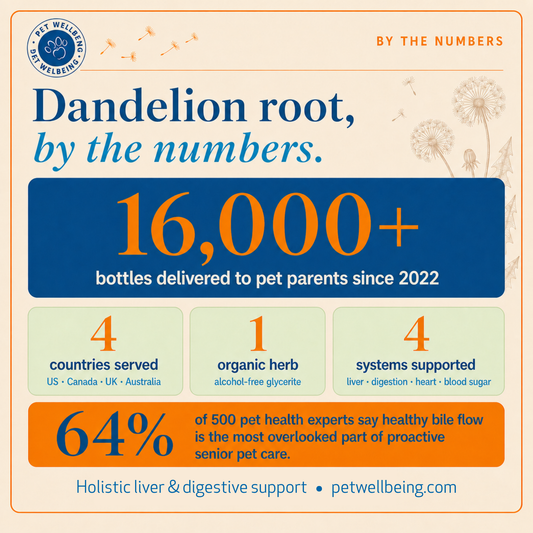 Dandelion Root, By the Numbers: What 16,000+ Bottles (and 500 Pet Health Experts) Taught Us