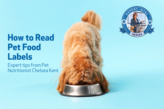How to Read Pet Food Labels: Expert Tips from Pet Nutritionist Chelsea Kent