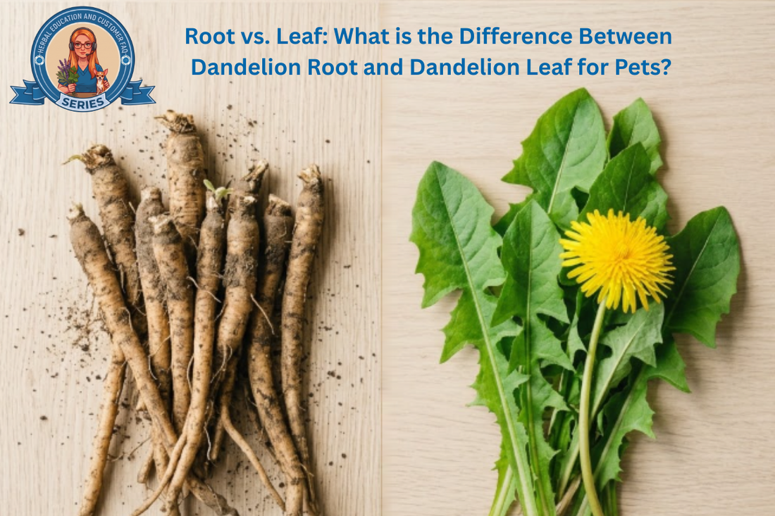 Root vs. Leaf: What is the Difference Between Dandelion Root and Dandelion Leaf for Pets?