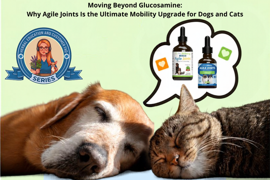 Beyond Glucosamine: Why Agile Joints Is the Ultimate Mobility Upgrade for Dogs and Cats