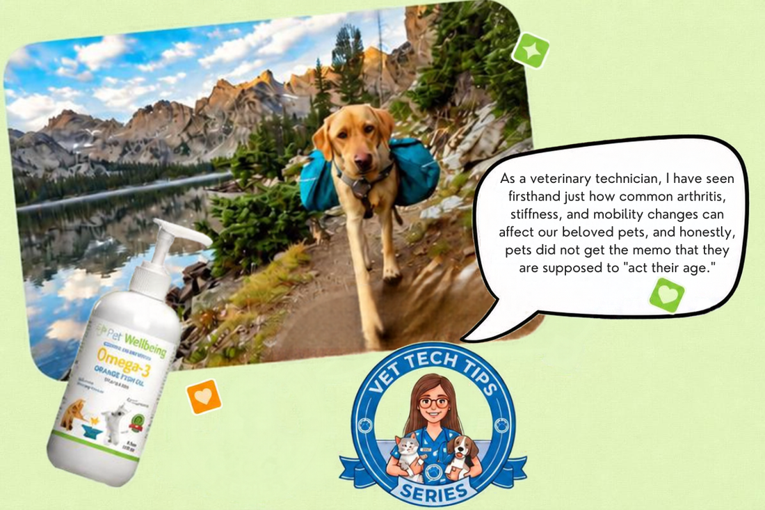 Joint Health Tips for Dogs & Cats at Every Life Stage, From a Vet Tech