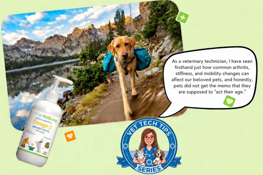 Joint Health Tips for Dogs & Cats at Every Life Stage, From a Vet Tech