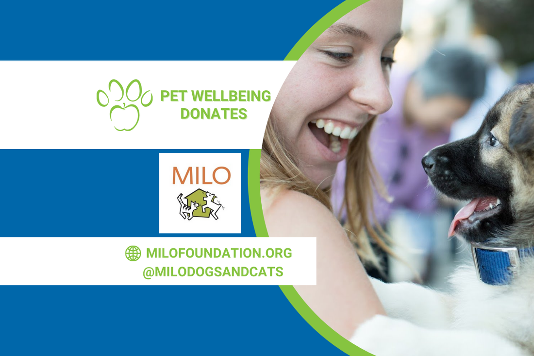 Pet Wellbeing Rescues the Rescues Update: The Milo Foundation