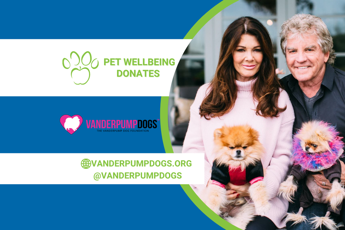 Rescues the Rescues Update: Vanderpump Dogs Foundation