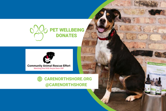 Rescue the Rescues Update: Community Animal Rescue Effort (C.A.R.E)