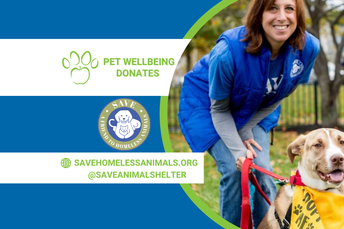 Save All The Dogs Rescue Rescue the Rescues Update: SAVE Animal Shelter | Pet Wellbeing