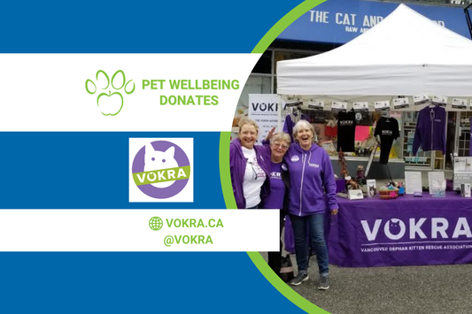 Rescue the Rescues Update: VOKRA Vancouver Orphan Kitten Rescue Association