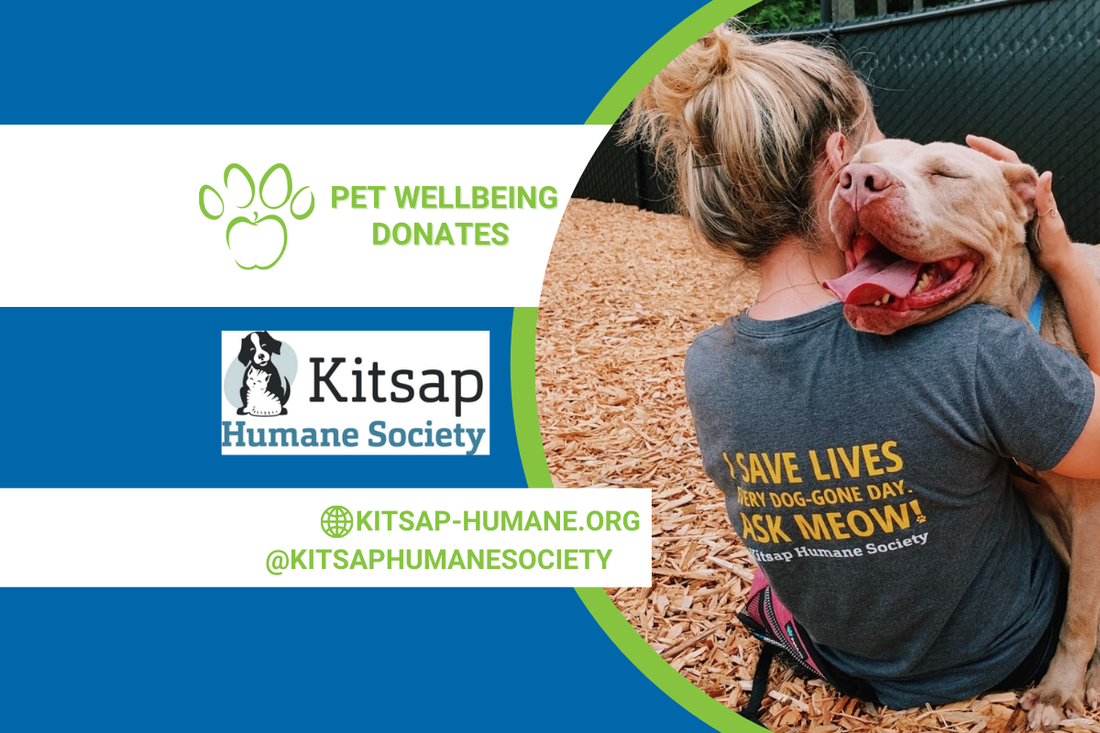 Rescue the Rescues Update: Kitsap Humane Society