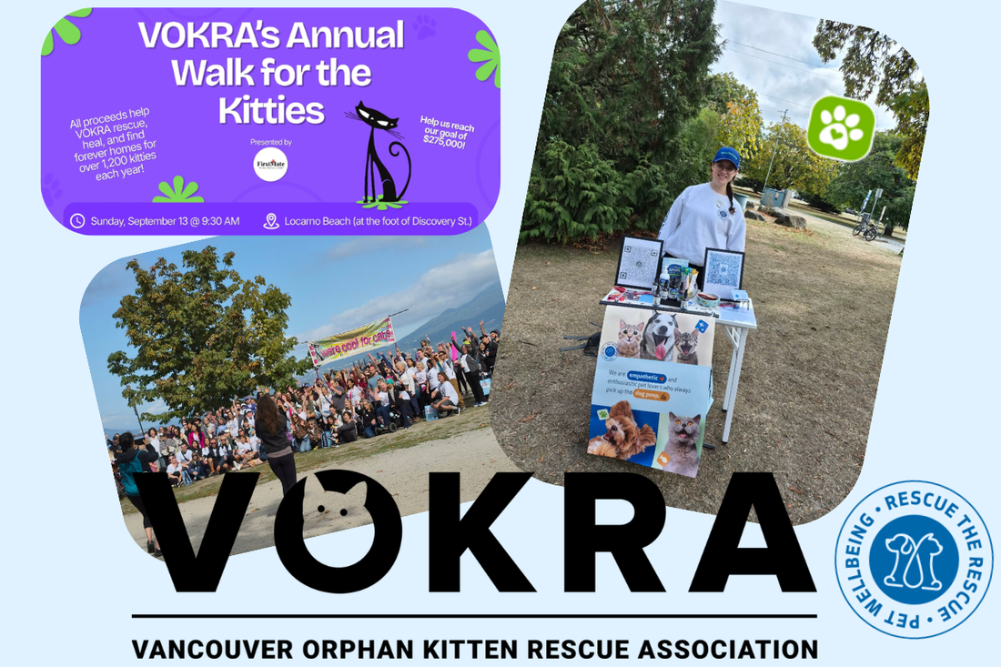 Paws, Community, and Care: Highlighting Our Day at the VOKRA Walk for the Kitties