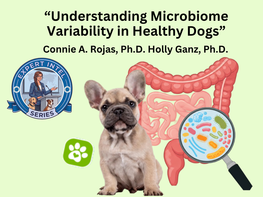 What a Leading Microbiome Researcher Wants Pet Parents to Know