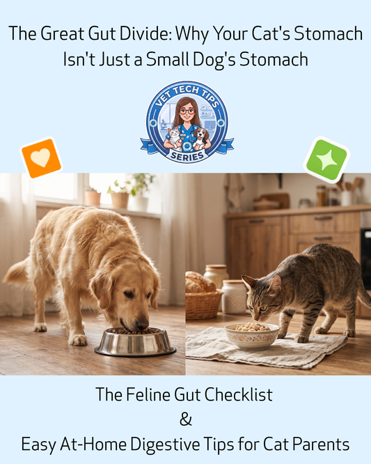 The Great Gut Divide: Why Your Cat's Stomach Isn't Just a Small Dog's Stomach