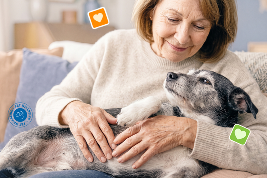 Your Pet Could Have Zero Digestive Symptoms — and Still Have a Gut Problem