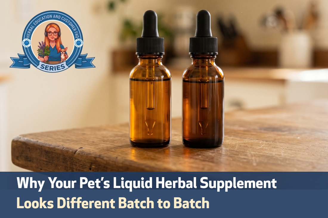 Why Your Pet's Liquid Herbal Supplement Looks Different Batch to Batch