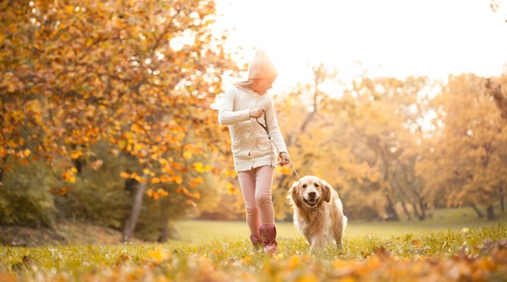 What Most Pet Owners Never Think About: Fall Safety Tips for your Pets