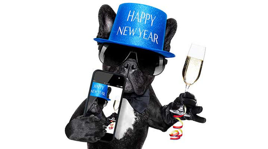 5 New Year's Resolutions For Your Pet