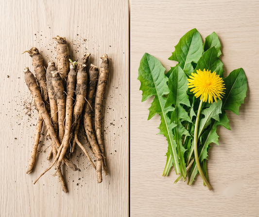Root vs. Leaf: What is the Difference Between Dandelion Root and Dandelion Leaf for Pets?