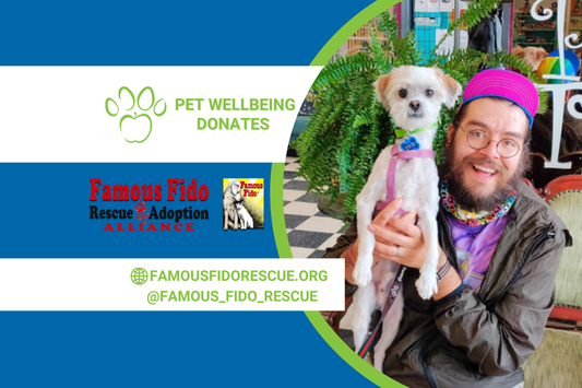 Rescue the Rescues Update: Famous Fido Rescue & Adoption Alliance