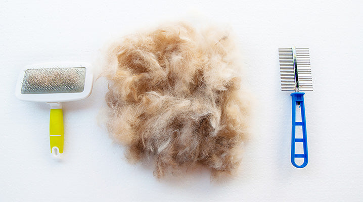 Shedding Happens! Ways to Reduce Pet Hair Around the House