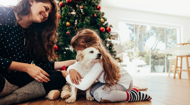 Help Your Pets Stress Less During Your Holiday Parties