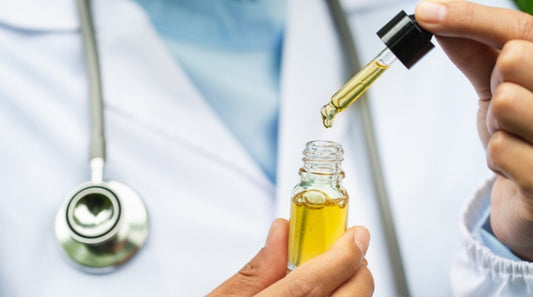 What You Should Know About CBD for Pets