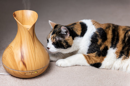 Be Cautious of Using These Essential Oils If You Have Pets!